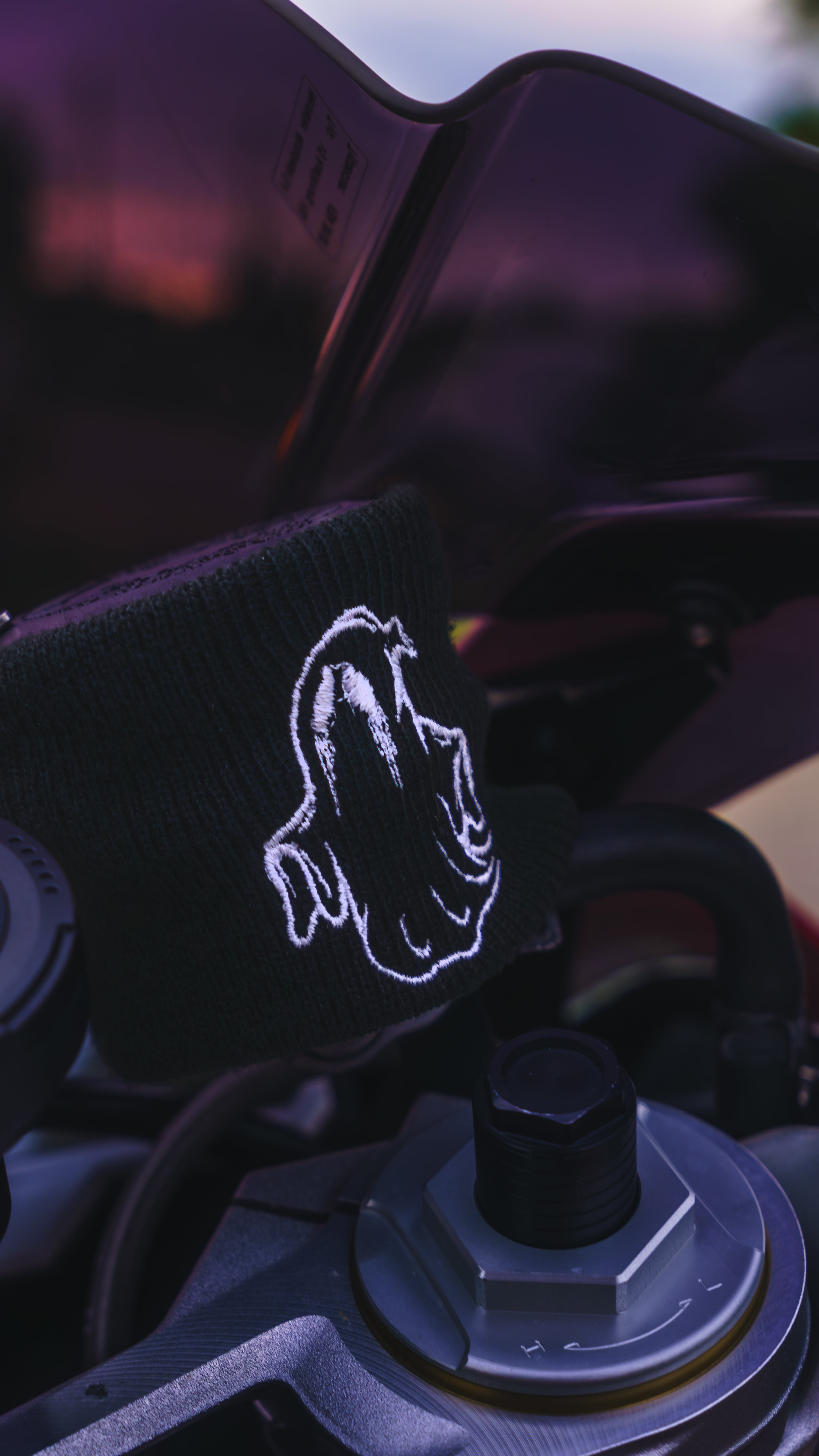 Haunted Brake Reservoir Sock